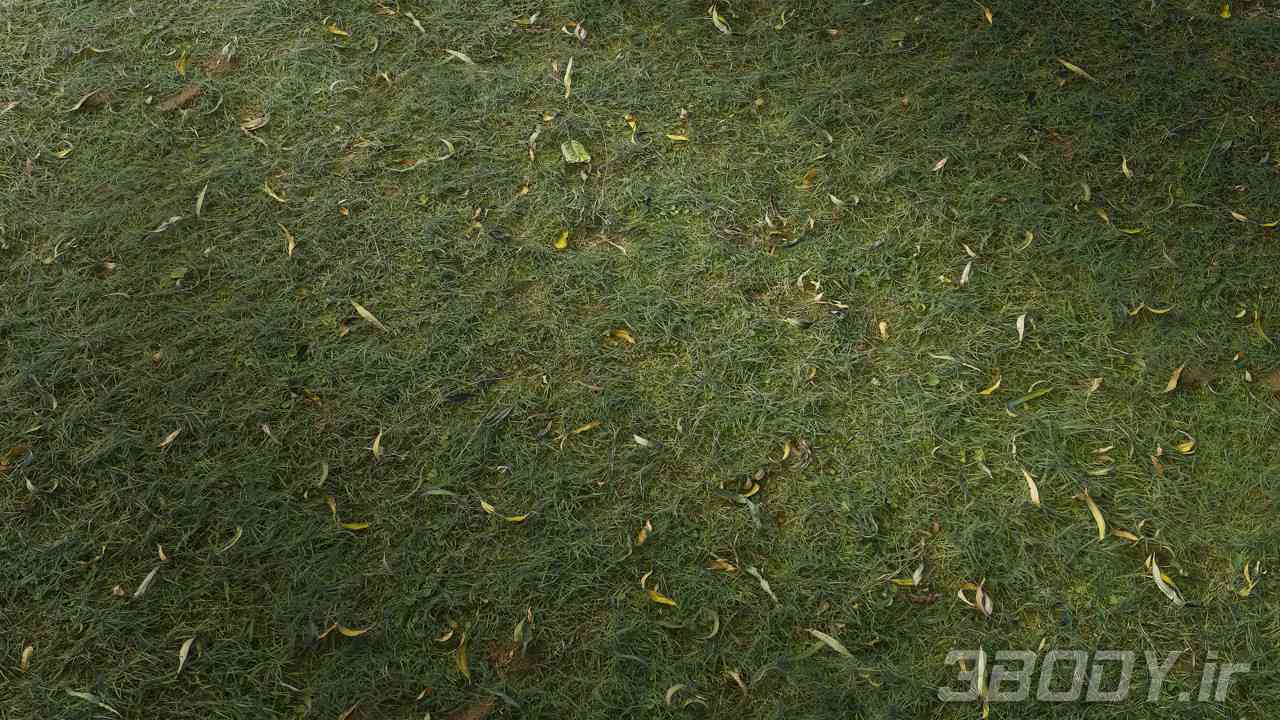 متریال چمن کوتاه شده cut grass عکس 1
